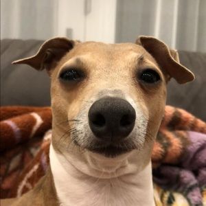 Meet your Posher, Matthew